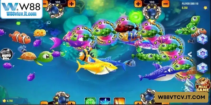Anh em ngư thủ không thể truy cập vào game là do kết nối mạng không ổn